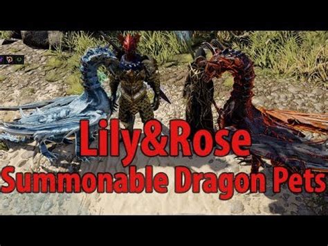 divinity original sin 2 pets.